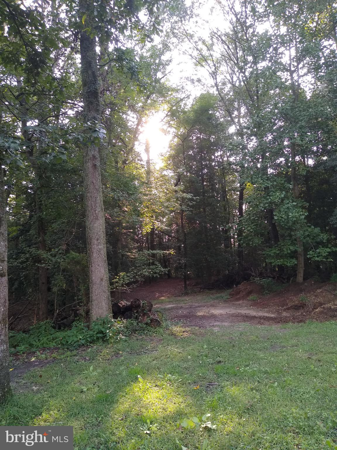 5050 Cooper Road Eden, MD 21822 - Photo 50 of 55 Riding Trails