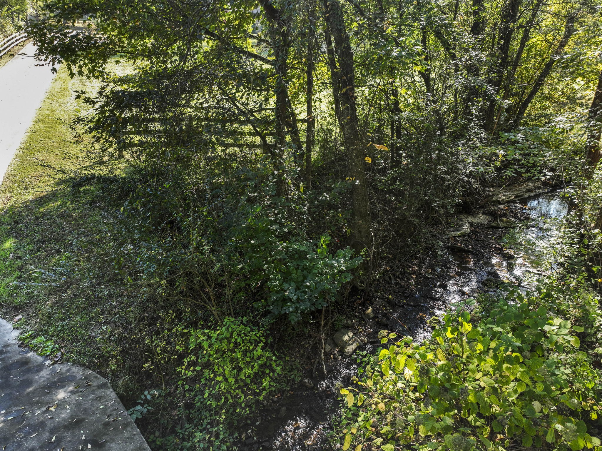 171 George Hill Road Manchester, TN 37355 - Photo 18 of 70 a view of a lush green forest