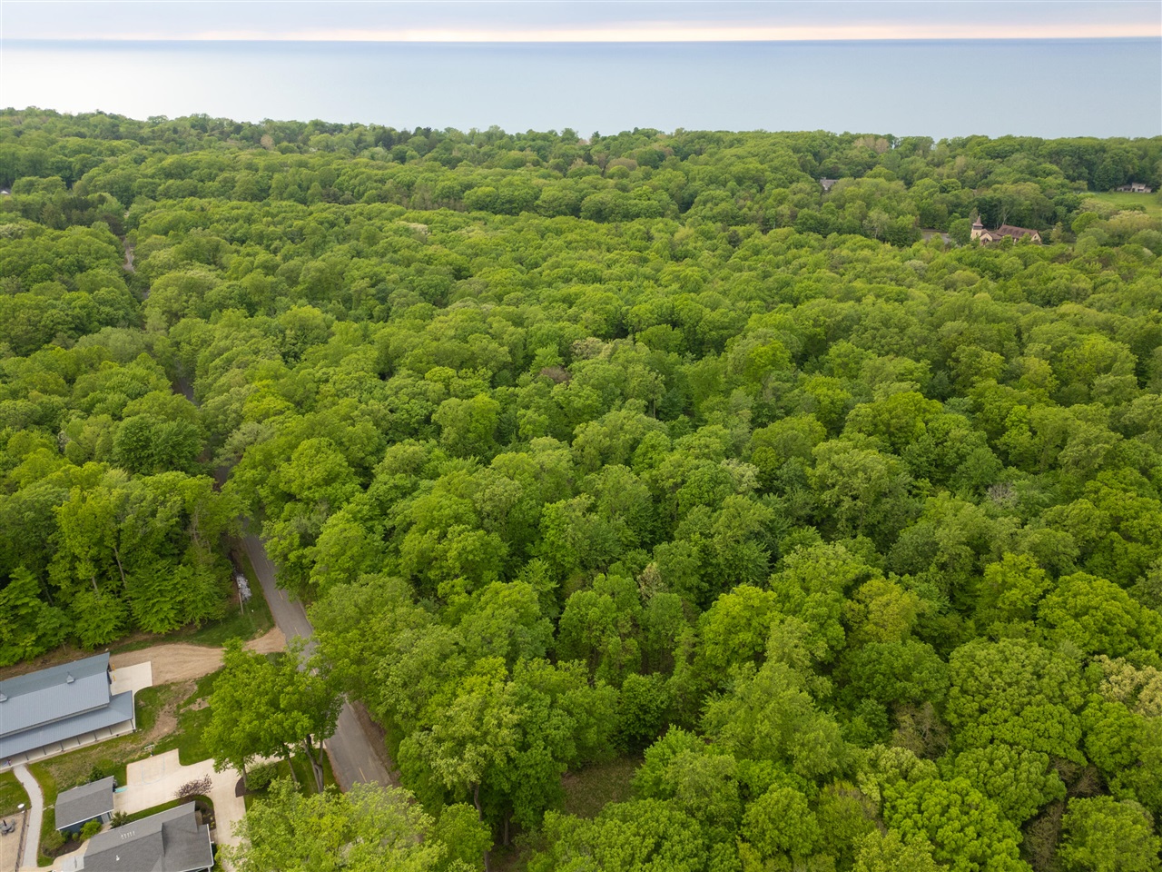 0 Red Arrow Highway Lakeside, MI 49128 - Photo 8 of 25