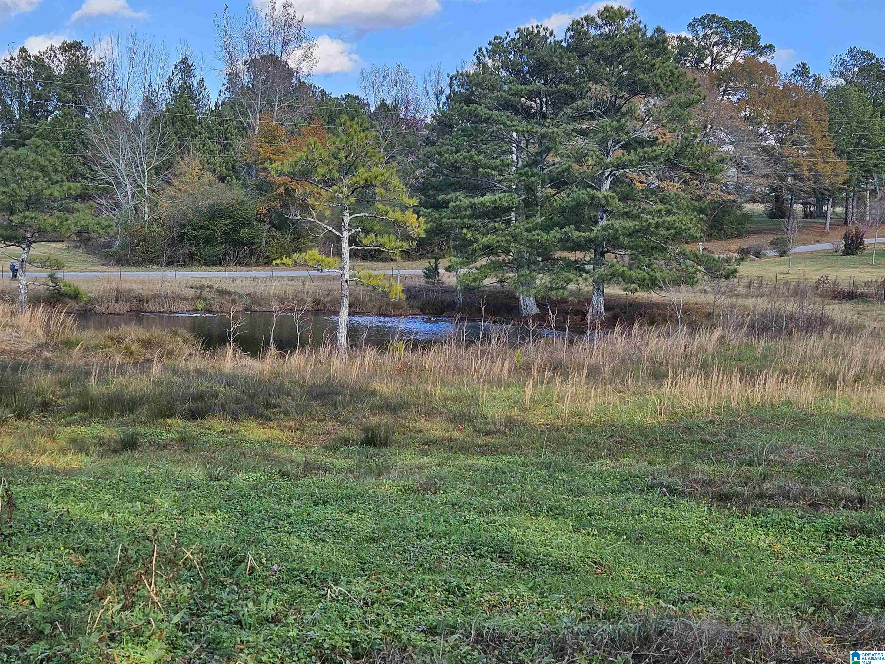 682 County Road 832 Logan, AL 35098 - Photo 43 of 48