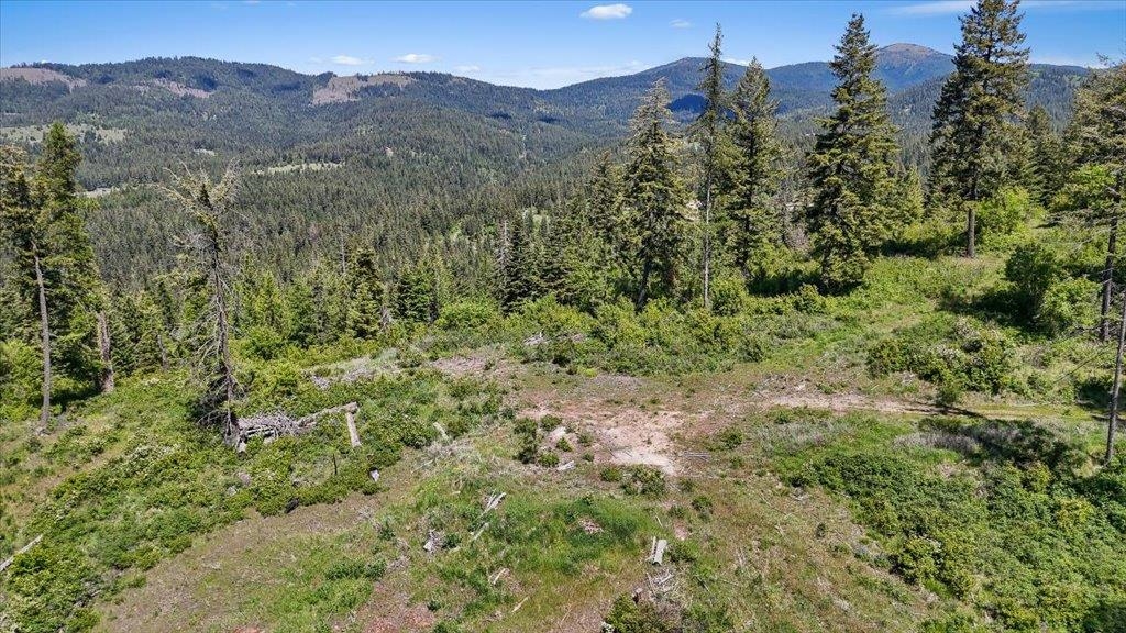 18-xxx East Miner Road Mead, WA 99021 - Photo 9 of 40