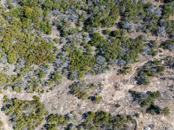 a view of city with ocean