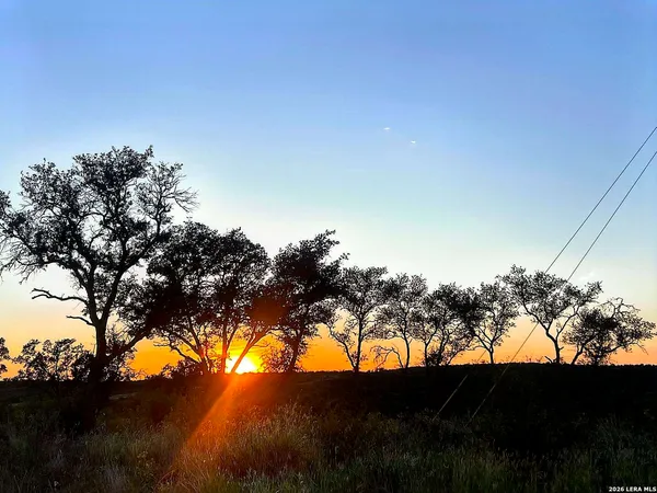 a view of a dry yard with wooden fence