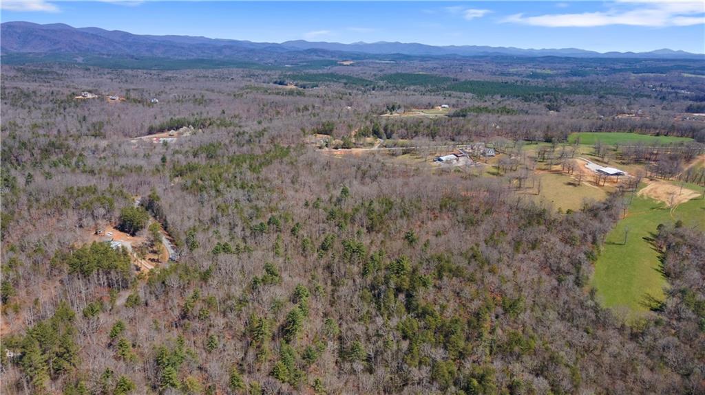 0 Afton Road, Unit 4 Marble Hill, GA 30148 - Photo 11 of 22