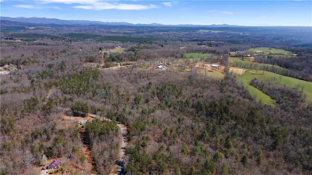 0 Afton Road, Unit 4 Marble Hill, GA 30148 - Photo 10 of 22