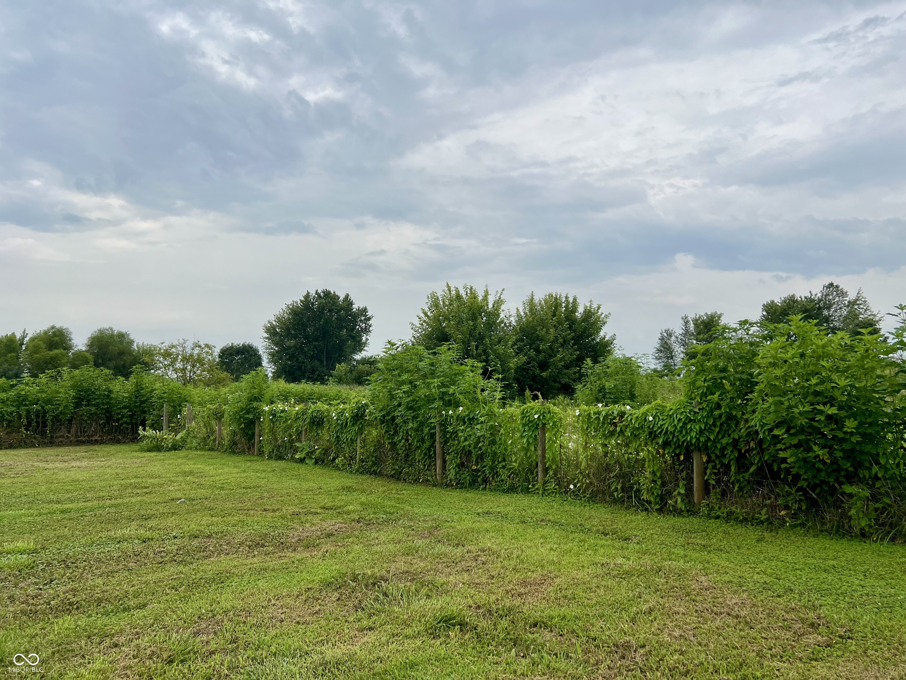 8122 North Hall School Road Monrovia, IN 46157 - Photo 57 of 61 Gallery Image 57