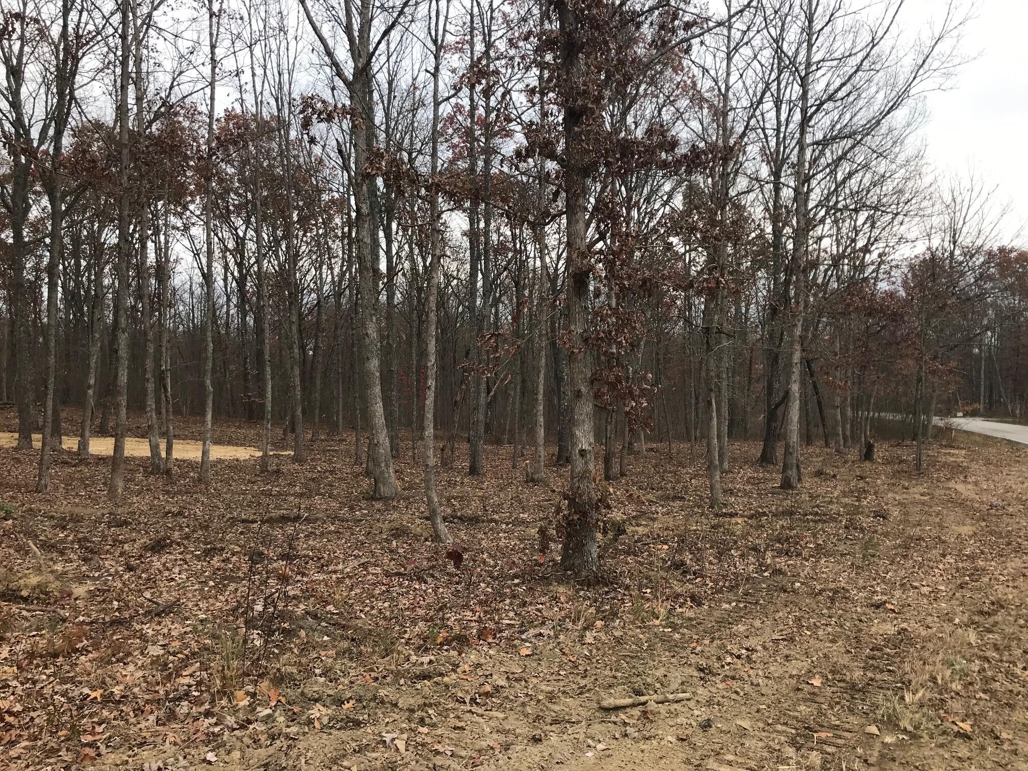 1 White Oak Swamp Road Dunlap, TN 37327 - Photo 3 of 16 Gallery Image 3