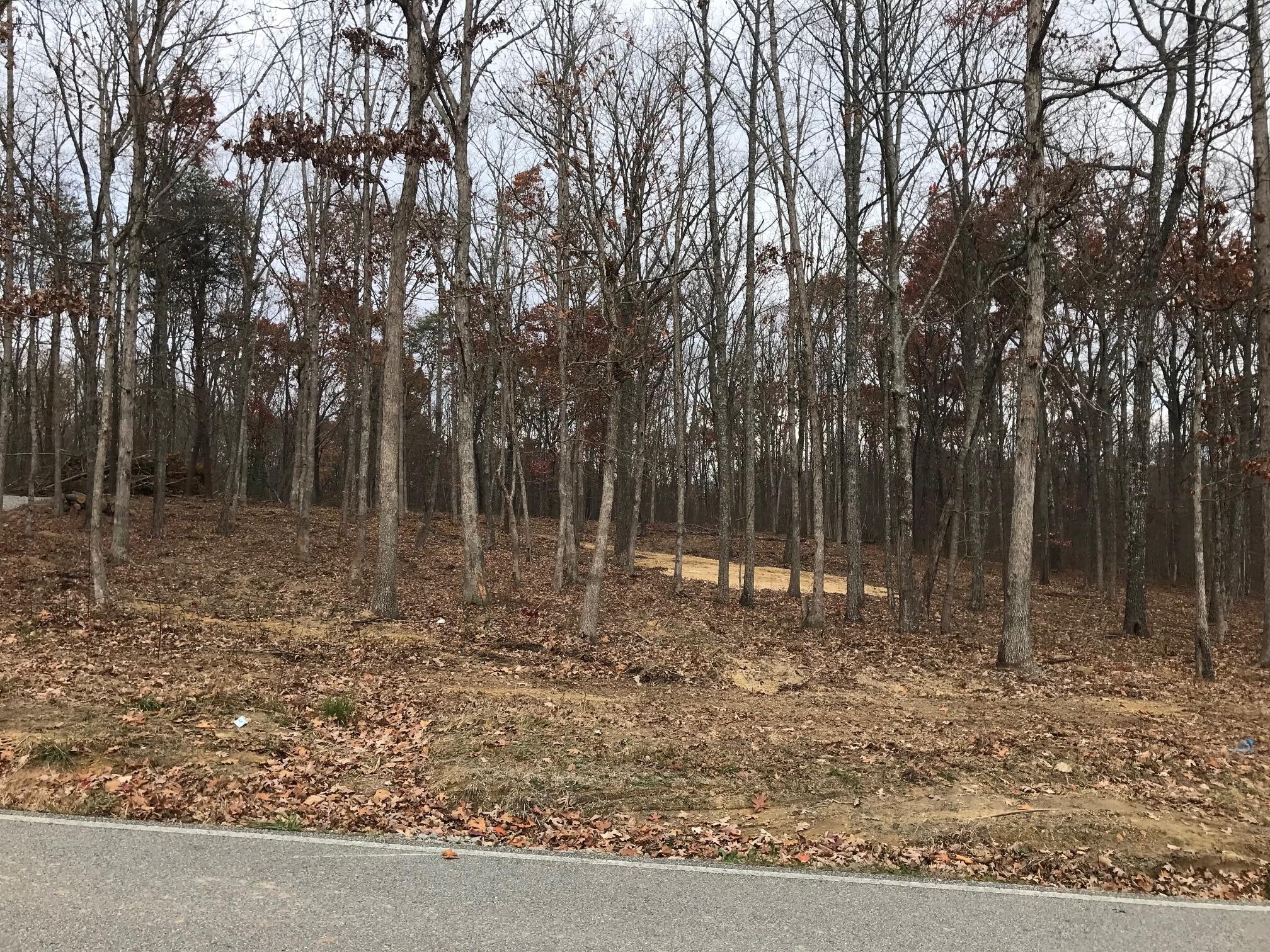 1 White Oak Swamp Road Dunlap, TN 37327 - Photo 6 of 16 Gallery Image 6