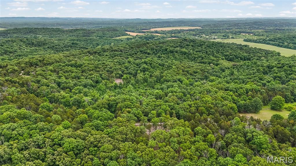 299 Whitetail Ridge Dittmer, MO 63023 - Photo 17 of 19