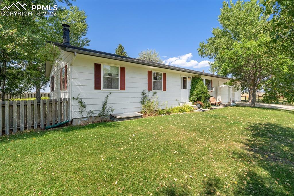 a view of a backyard with plants and large tree