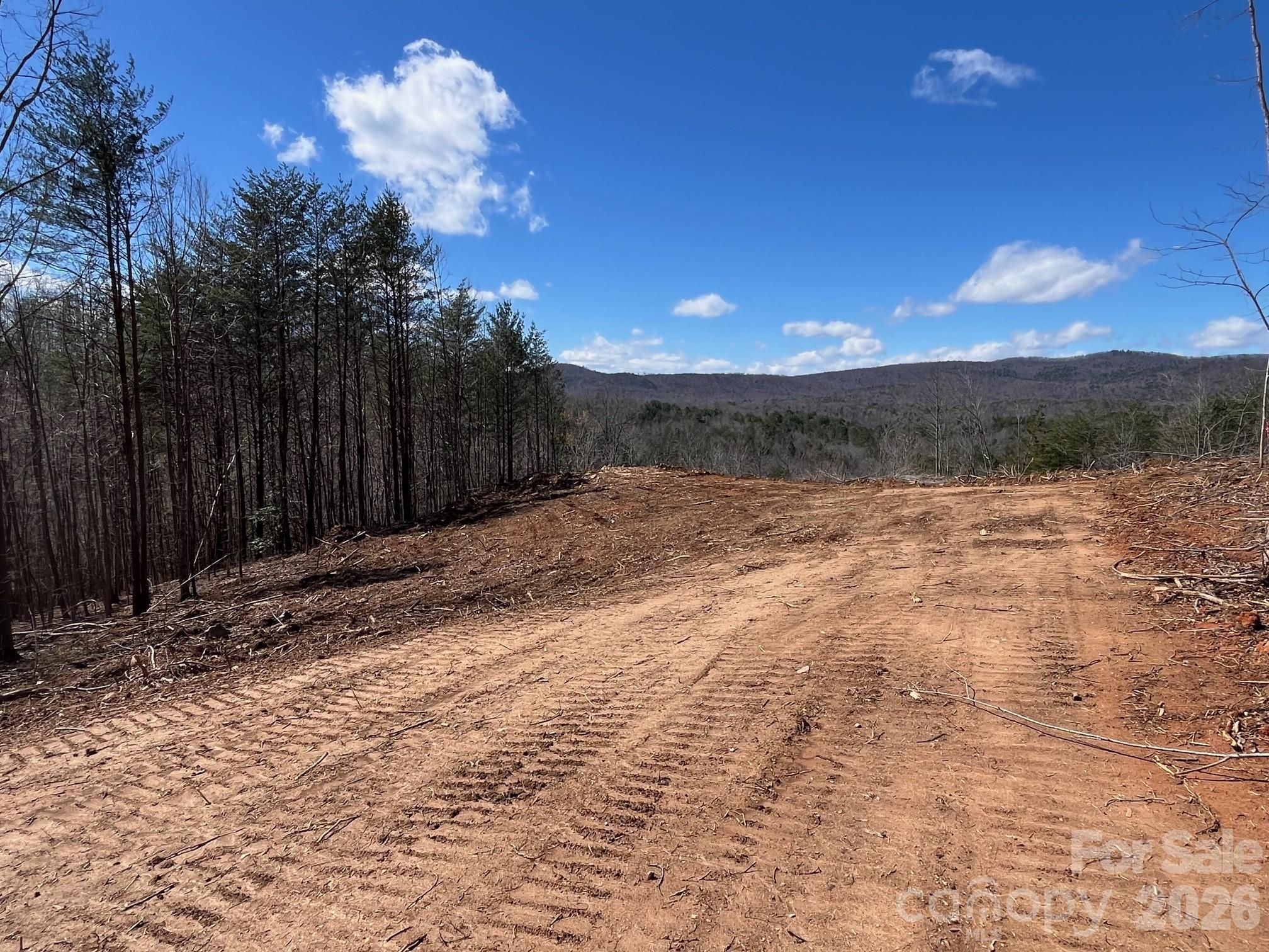 V/l Vein Mountain Road, Unit 2 Nebo, NC 28761 - Photo 5 of 15 a view of backyard with green space