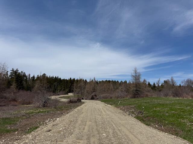 Lot 1 Holmes Bay Farms Road Whiting, ME 04691 - Photo 4 of 15 IMG_9065