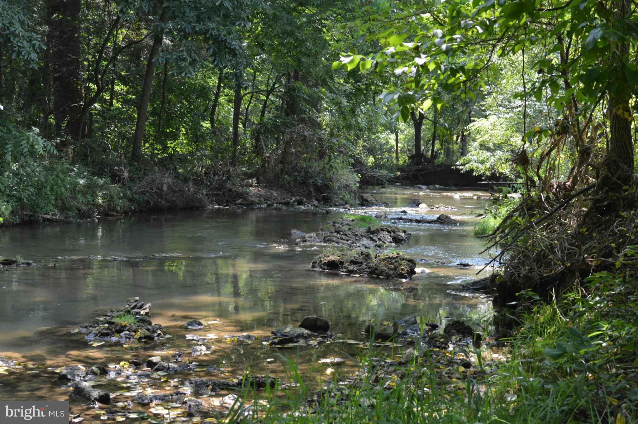 15106 Hicksville Road Clear Spring, MD 21722 - Photo 4 of 30 PRIVATE STREAM