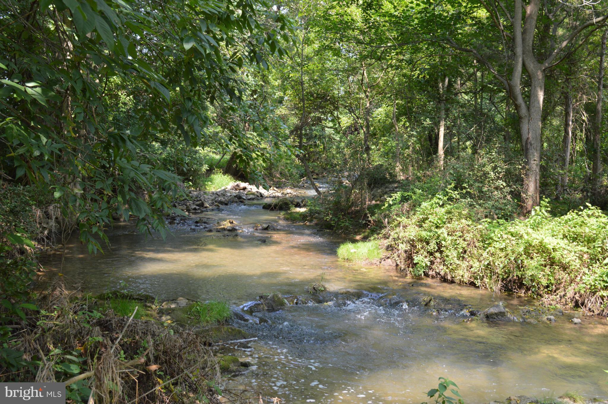 15106 Hicksville Road Clear Spring, MD 21722 - Photo 5 of 30 PRIVATE STREAM