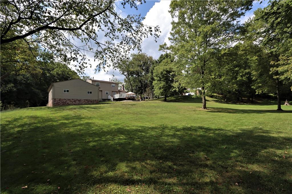 169 Mary Reed Road Baden, PA 15005 - Photo 22 of 24 a view of a trees with a big yard