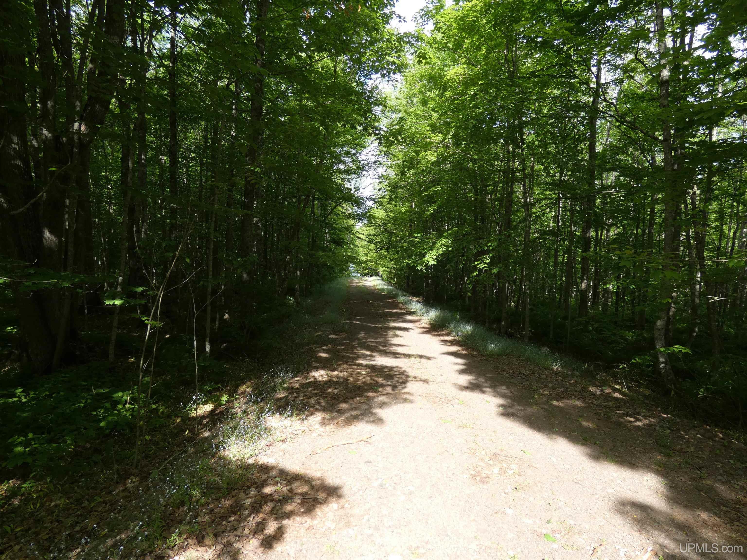 N9099 East Shore Road Marenisco, MI 49947 - Photo 2 of 27