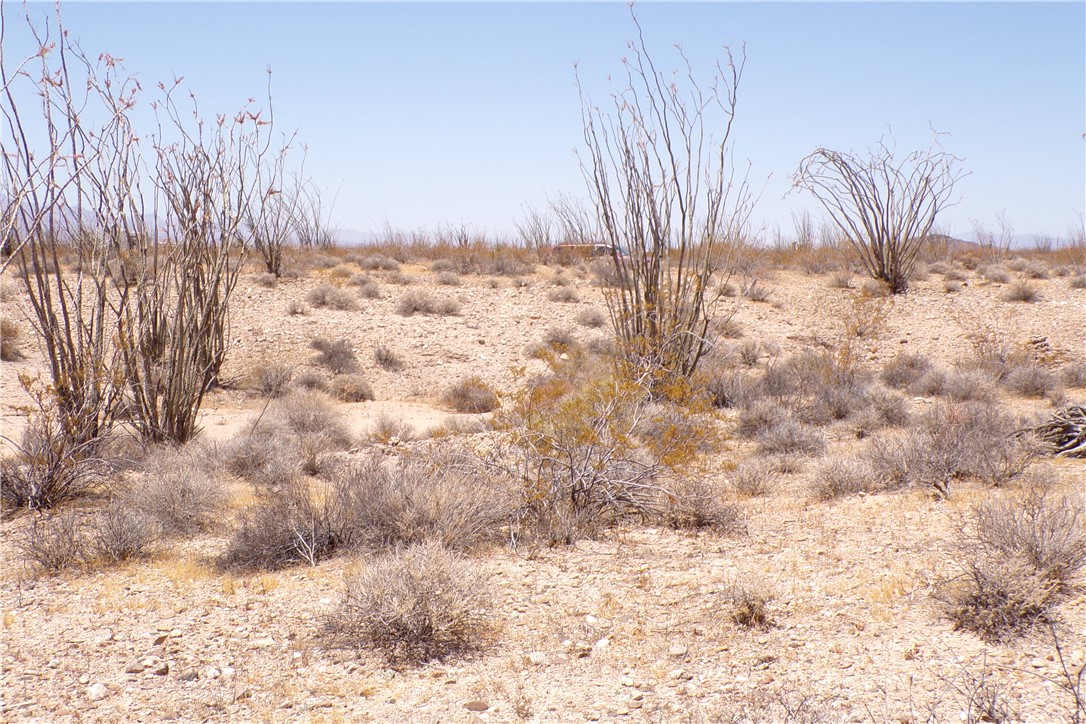 245-24-140 Ray Road Yucca, AZ 86438 - Photo 13 of 19 a view of a dry yard covered with snow in the background