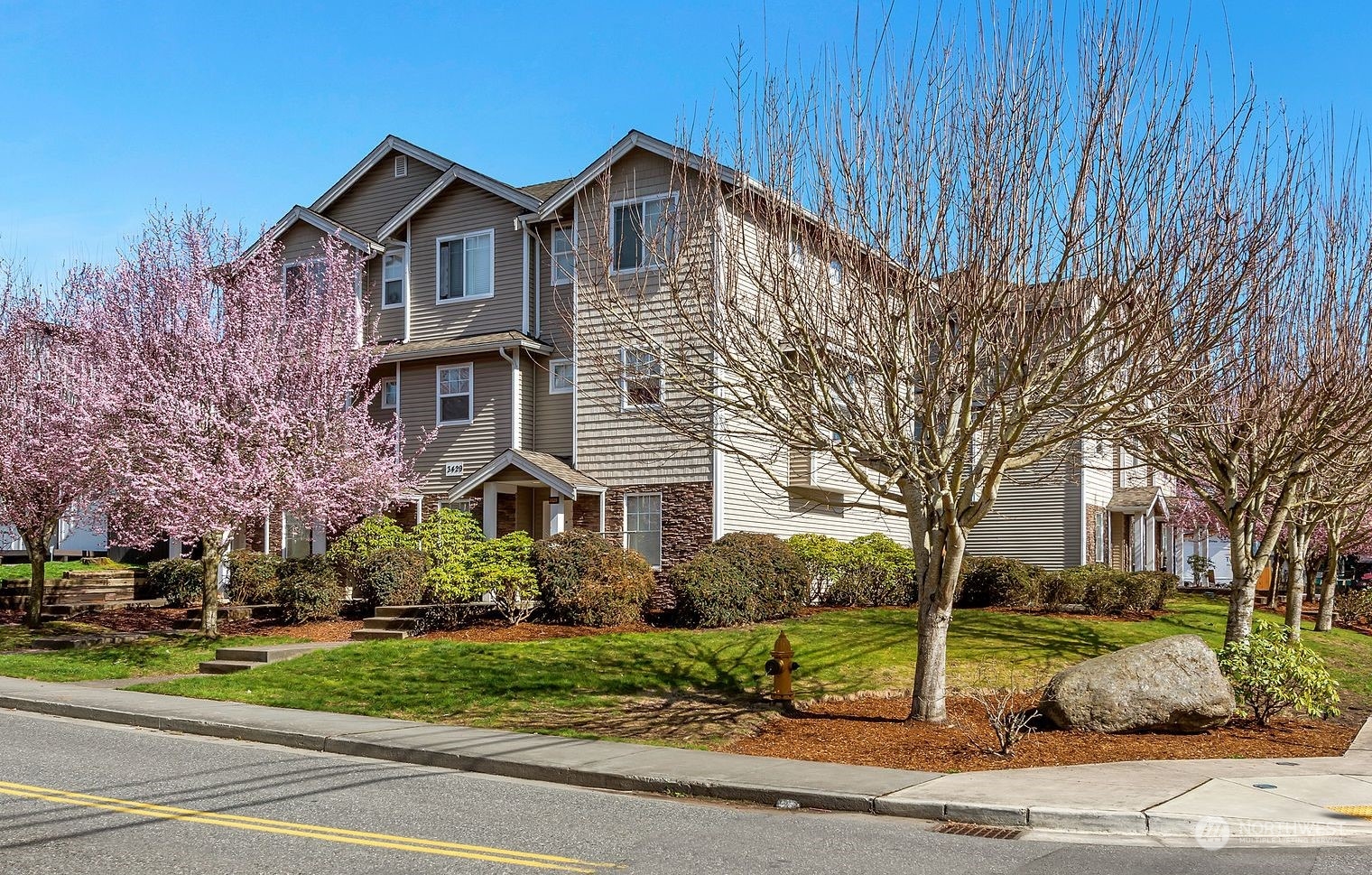 3429 Wetmore Avenue Everett, WA 98201 - Photo 1 of 19 a front view of a house with a yard and garage
