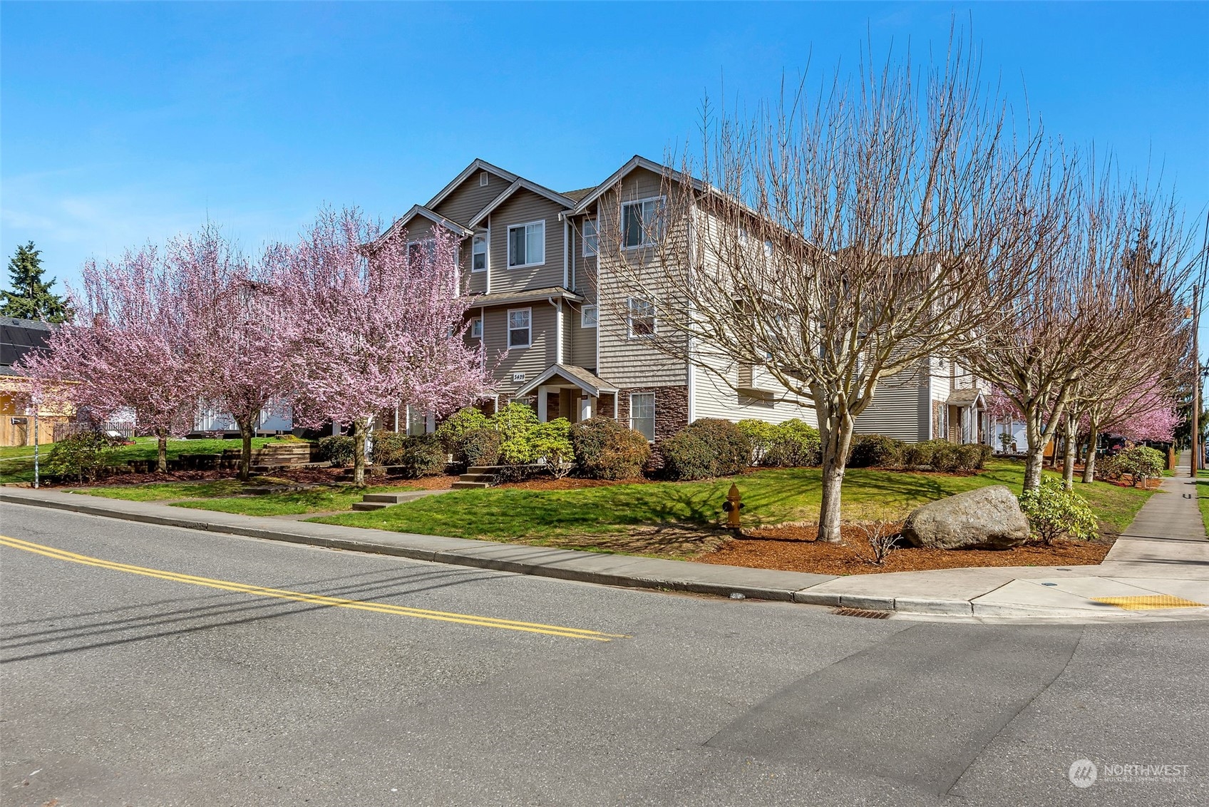 3429 Wetmore Avenue Everett, WA 98201 - Photo 12 of 19 a front view of a house with a yard and large tree