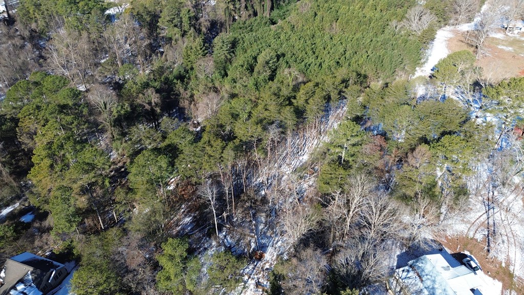 1.95-ac Kyle Road Blue Ridge, GA 30513 - Photo 8 of 15