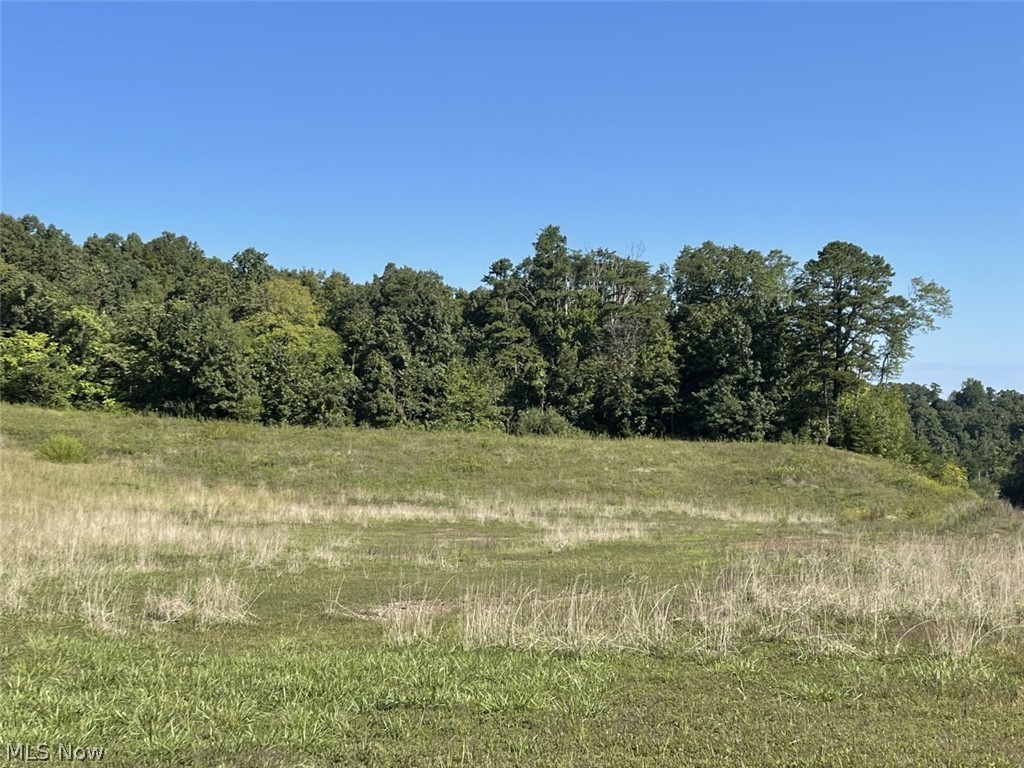 0 Cincinnati Ridge Road Coolville, OH 45723 - Photo 14 of 15 View from SR 124