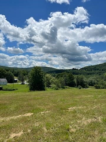 39 Sherman Hill Road Sidney Center, NY 13839 - Photo 6 of 8
