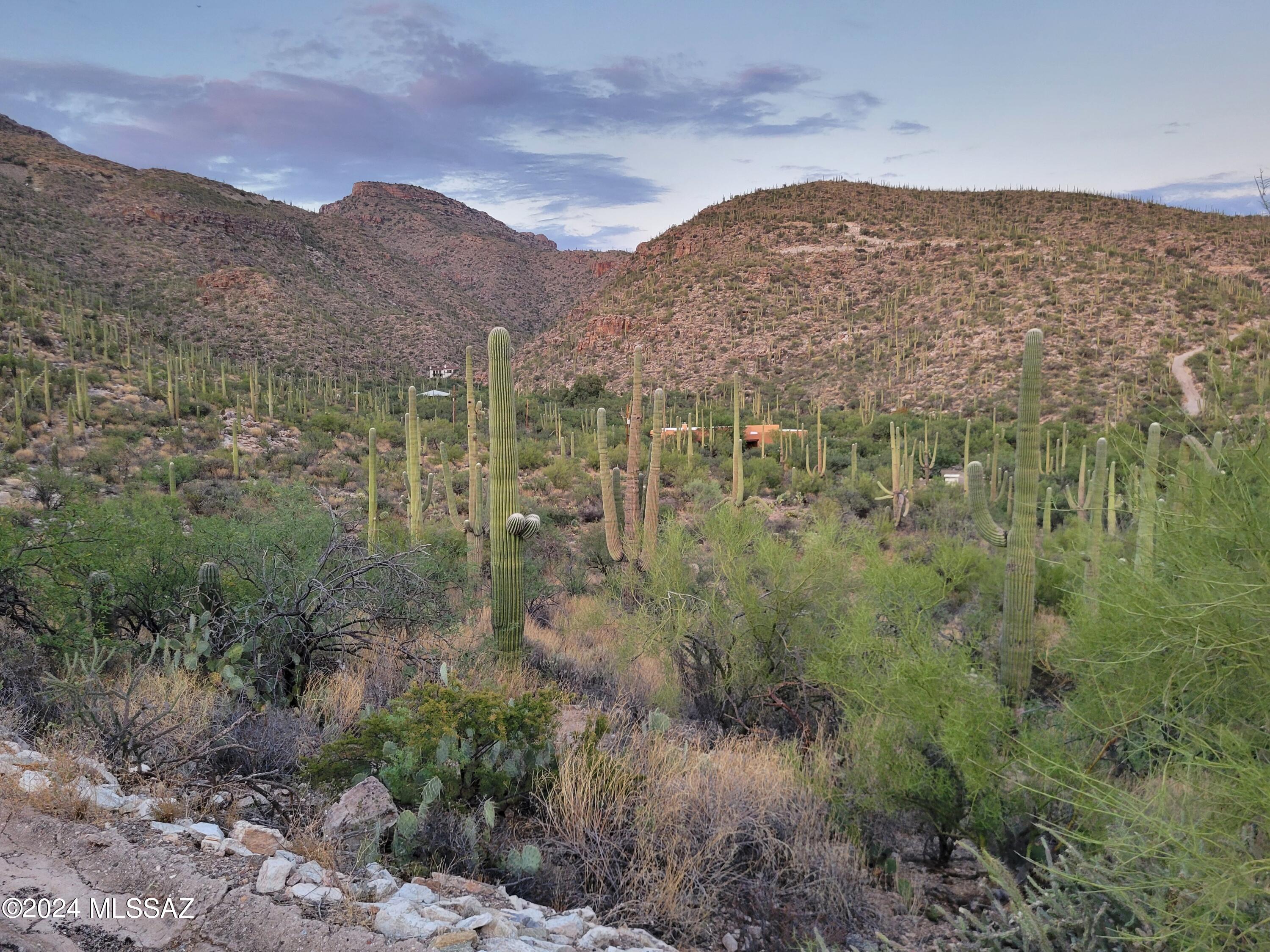 Tbd North Wentworth Road Tucson, AZ 85749 - Photo 5 of 18 Gallery Image 5