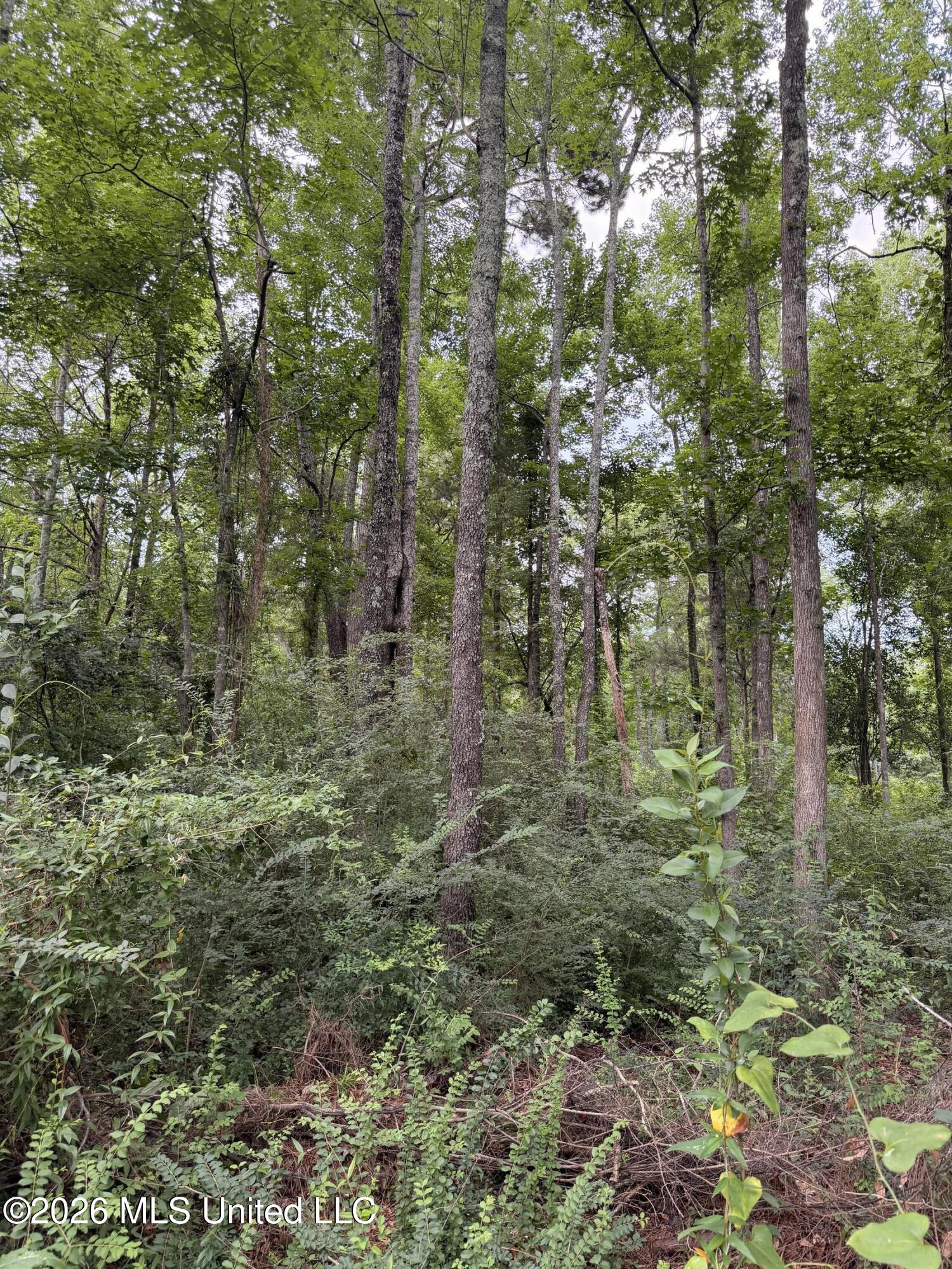 Cedar Ridge McComb, MS 39648 - Photo 5 of 12 IMG_4534