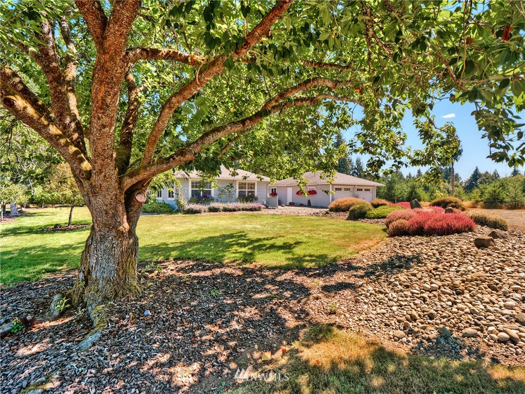 292 Southeast Binns Swiger Loop Road Shelton, WA 98584 - Photo 2 of 30 Gallery Image 2