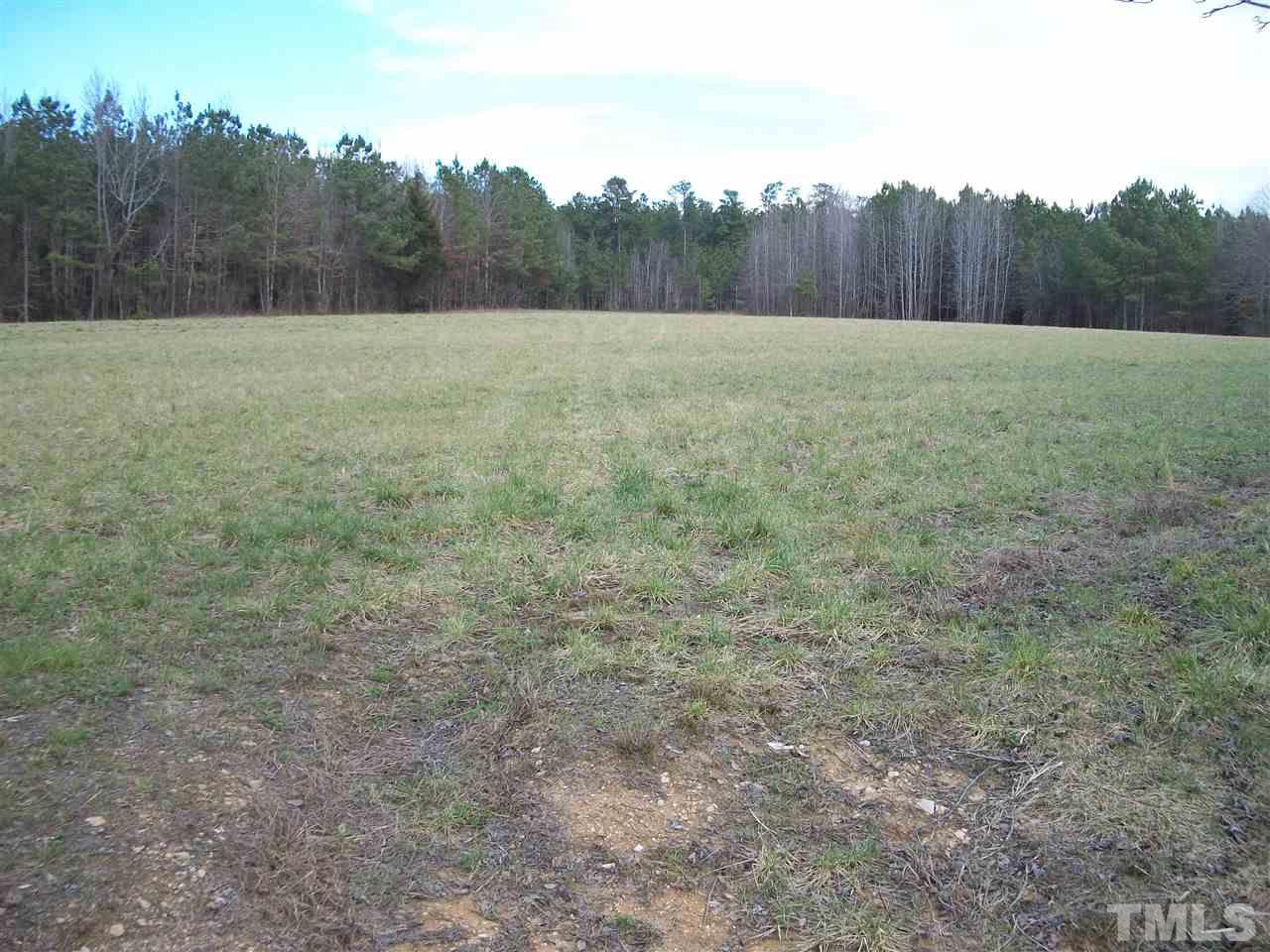 1353 Beasley Road Louisburg, NC 27549 - Photo 5 of 14 Gallery Image 5