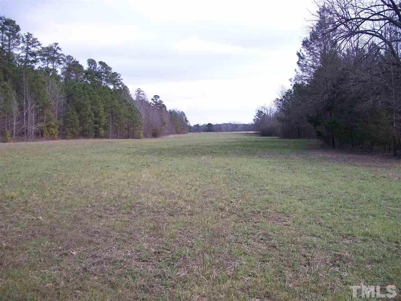 1353 Beasley Road Louisburg, NC 27549 - Photo 8 of 14 Gallery Image 8