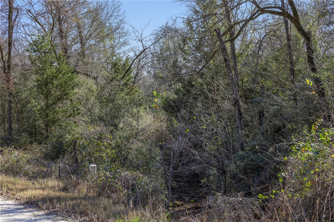 3 River Ridge Drive Hearne, TX 77859 - Photo 4 of 18