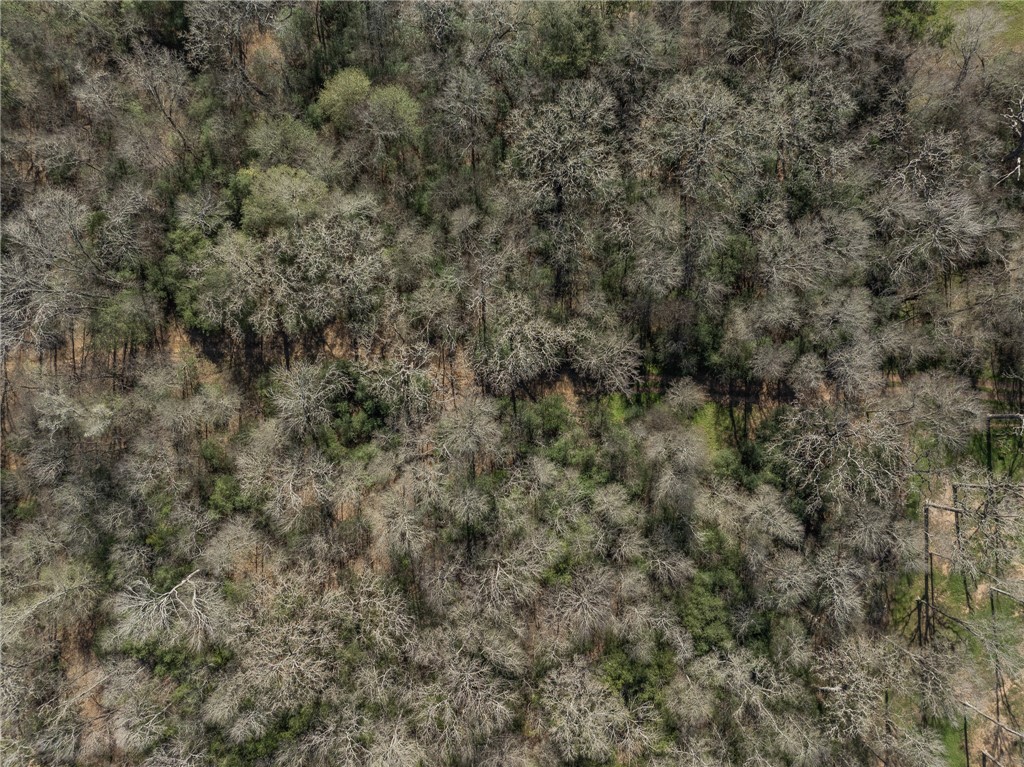3 River Ridge Drive Hearne, TX 77859 - Photo 7 of 18