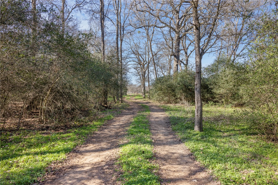3 River Ridge Drive Hearne, TX 77859 - Photo 8 of 18