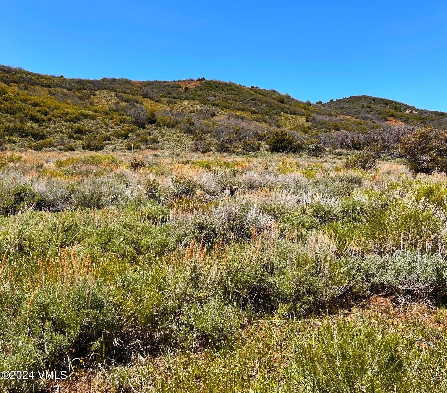 283 Squires Lane Eagle, CO 81631 - Photo 17 of 17 a view of a large mountains with green field in front of it