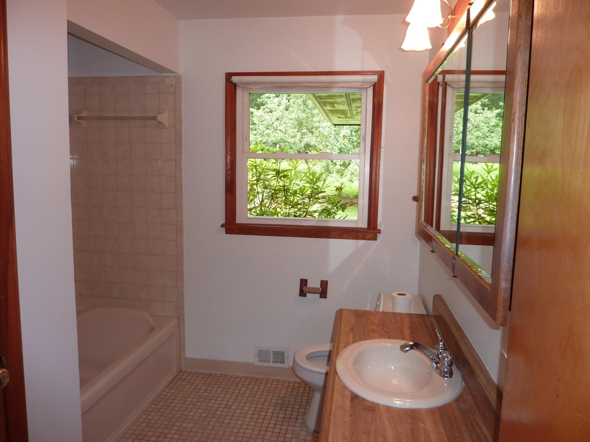 767 Givens Tyler Road Salem, VA 24153 - Photo 9 of 17 Hall Bath