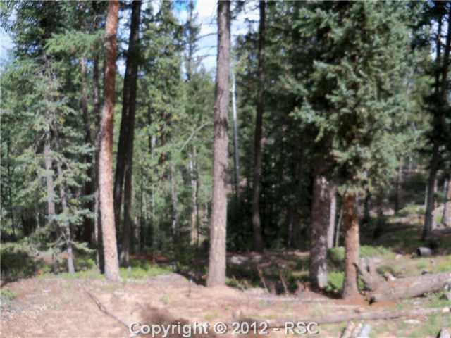 625 Ridge Road Divide, CO 80814 - Photo 11 of 12 Wooded, private back yard