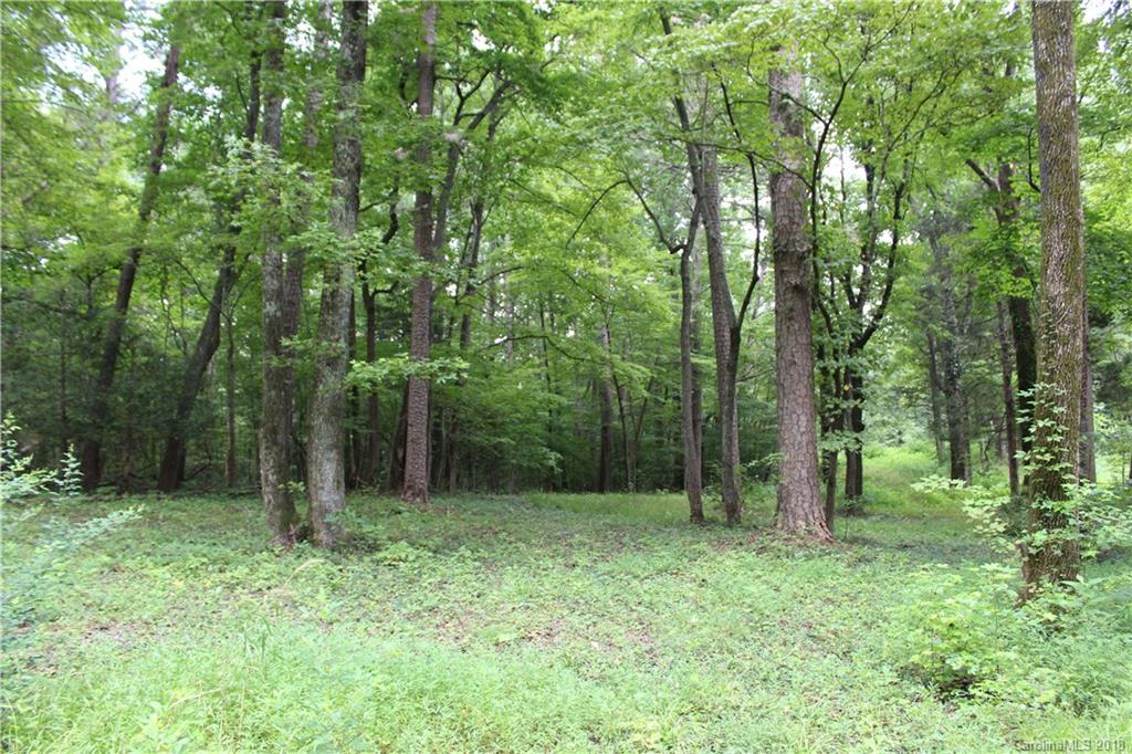 213 Shuford Road Columbus, NC 28722 - Photo 5 of 32 Gallery Image 5