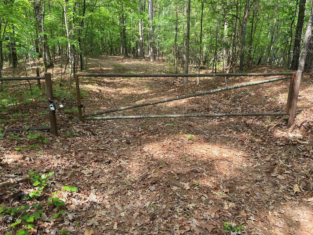 0 Davis Road Hamilton, GA 31811 - Photo 12 of 17