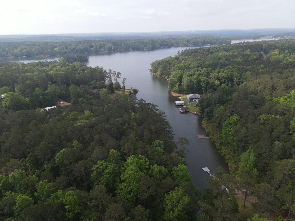 0 Davis Road Hamilton, GA 31811 - Photo 16 of 17