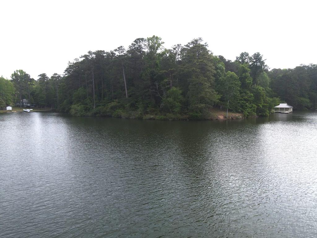 0 Davis Road Hamilton, GA 31811 - Photo 17 of 17