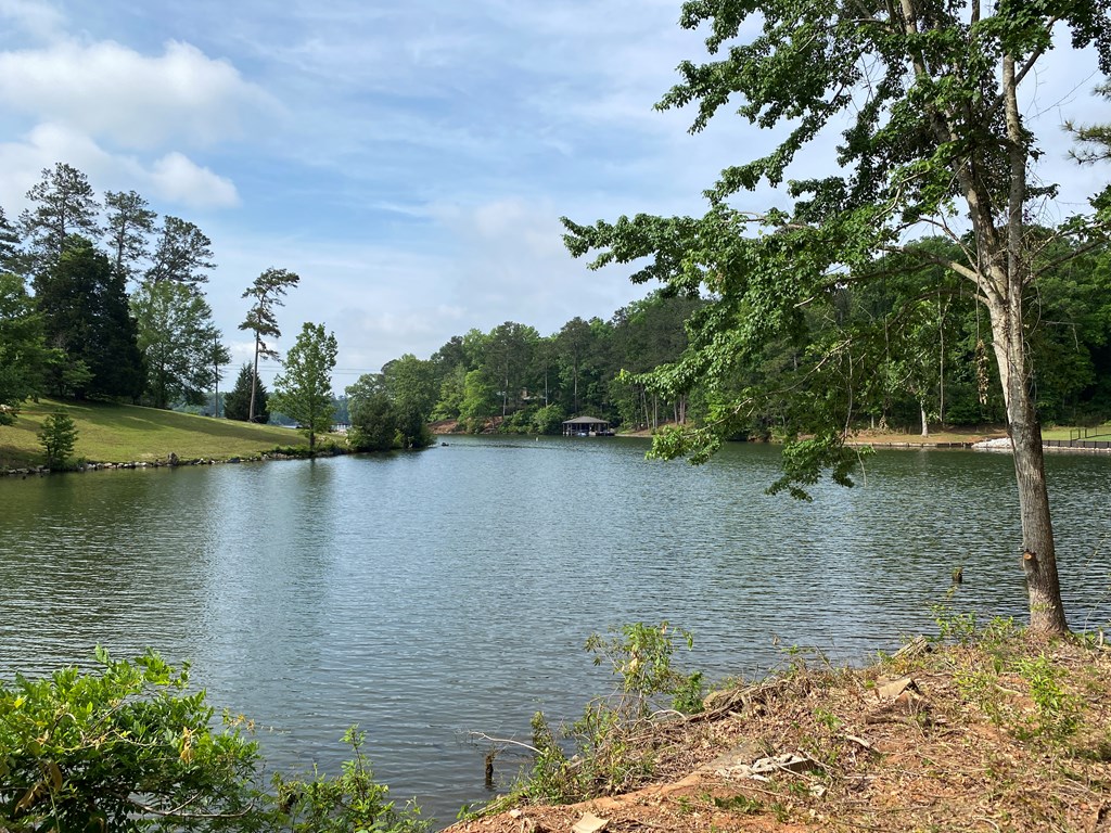 0 Davis Road Hamilton, GA 31811 - Photo 3 of 17