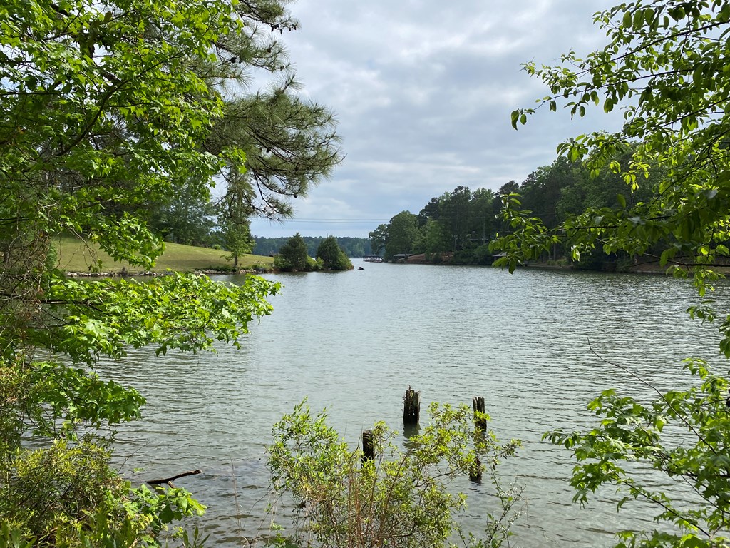 0 Davis Road Hamilton, GA 31811 - Photo 5 of 17