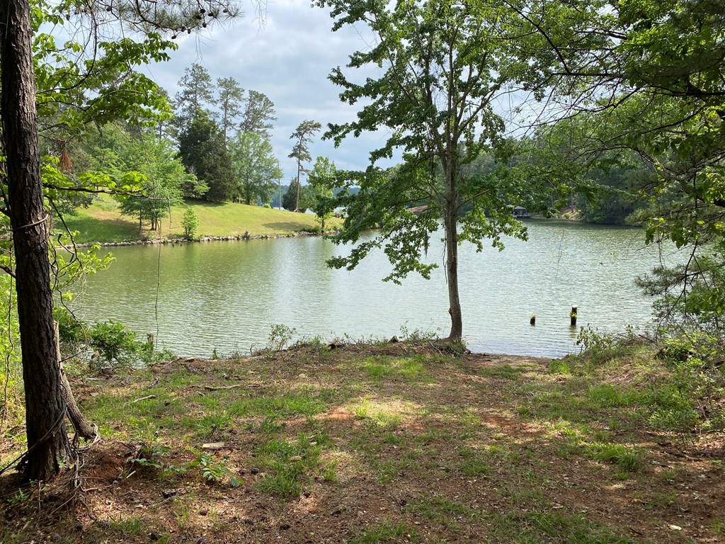 0 Davis Road Hamilton, GA 31811 - Photo 6 of 17