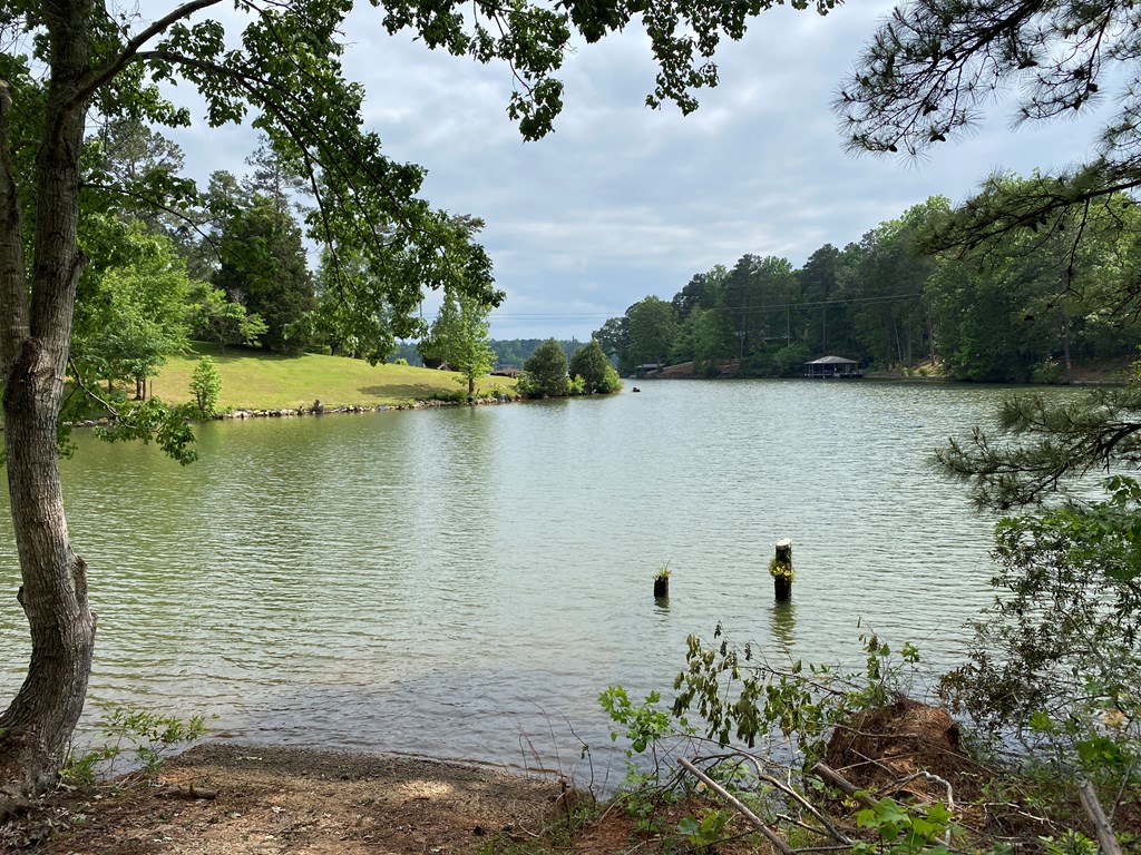 0 Davis Road Hamilton, GA 31811 - Photo 7 of 17