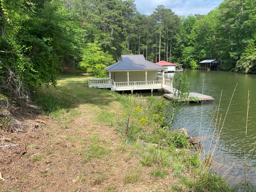 0 Davis Road Hamilton, GA 31811 - Photo 9 of 17