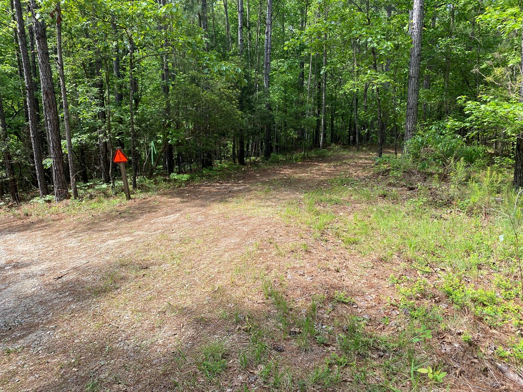 0 Davis Road Hamilton, GA 31811 - Photo 10 of 17