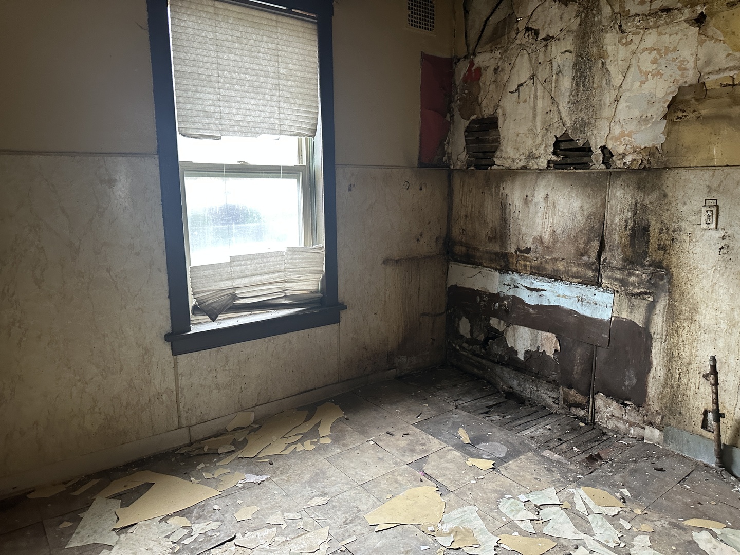134 West 107th Street Chicago, IL 60628 - Photo 7 of 11