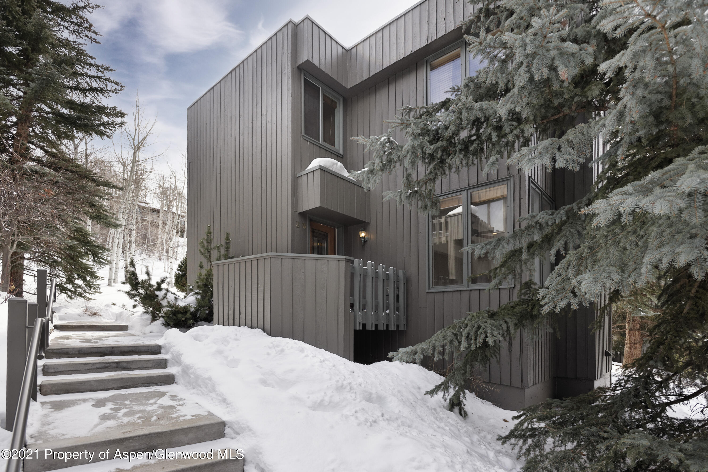 20 Meadow Ranch Road Snowmass Village, CO 81615 - Photo 1 of 19 20MeadowRanchRd_HiRes_02112021024