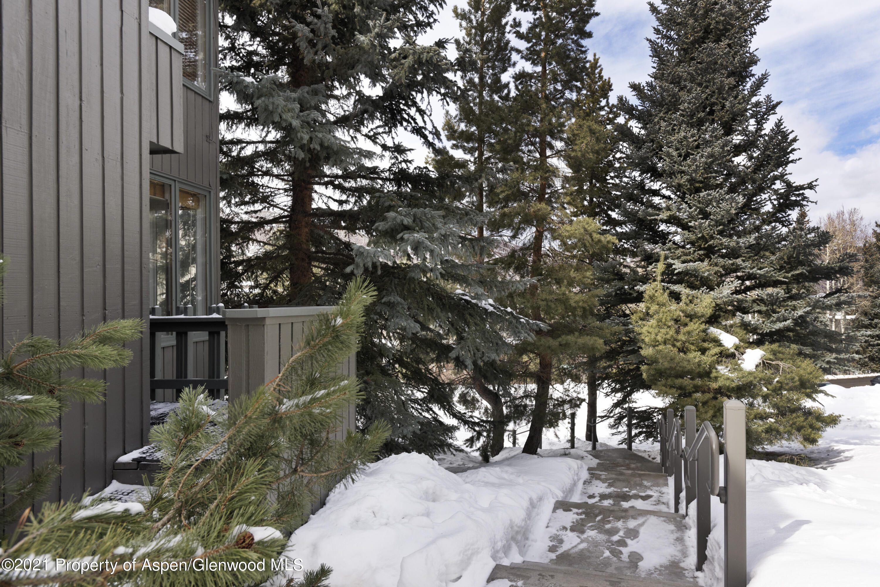 20 Meadow Ranch Road Snowmass Village, CO 81615 - Photo 19 of 19 20MeadowRanchRd_HiRes_02112021023